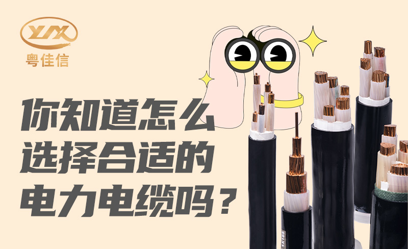 你知道怎么选择合适的快猫成人短视频APP下载吗？