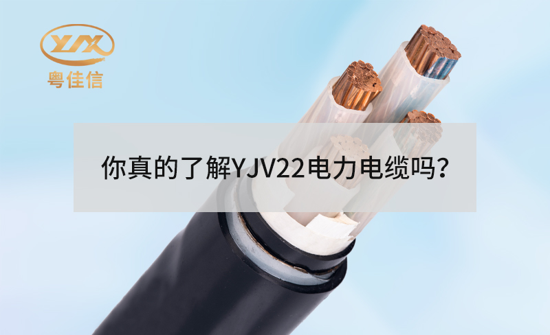 你真的了解YJV22快猫成人短视频APP下载吗？