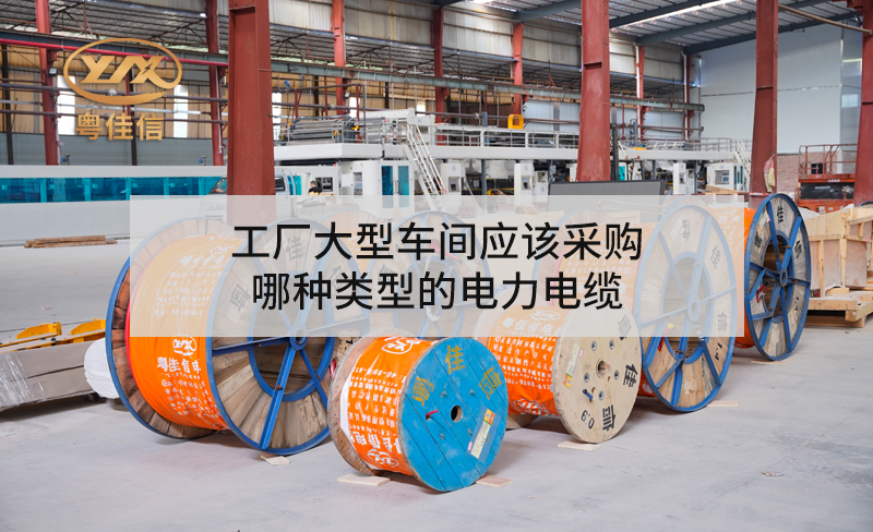 工厂大型车间应该采购哪种类型的快猫成人短视频APP下载