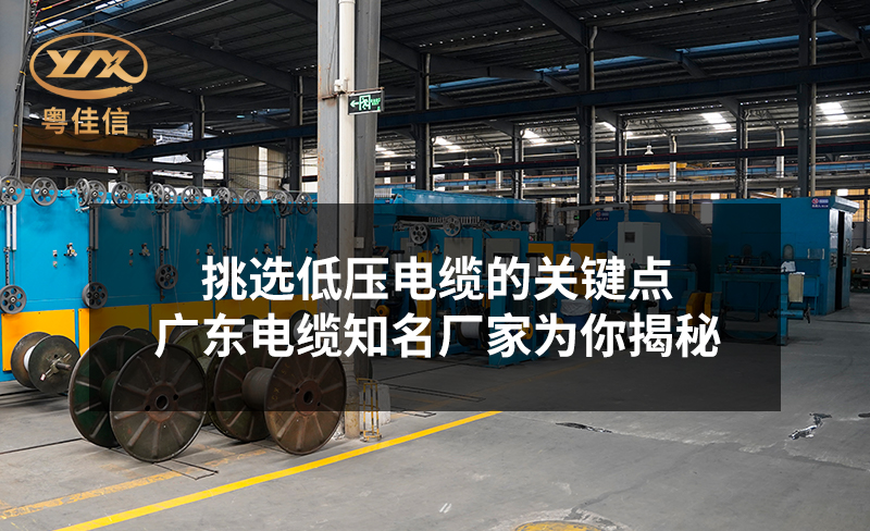 挑选低压电缆的关键点，广东电缆知名厂家快猫视频网站入口为你揭秘