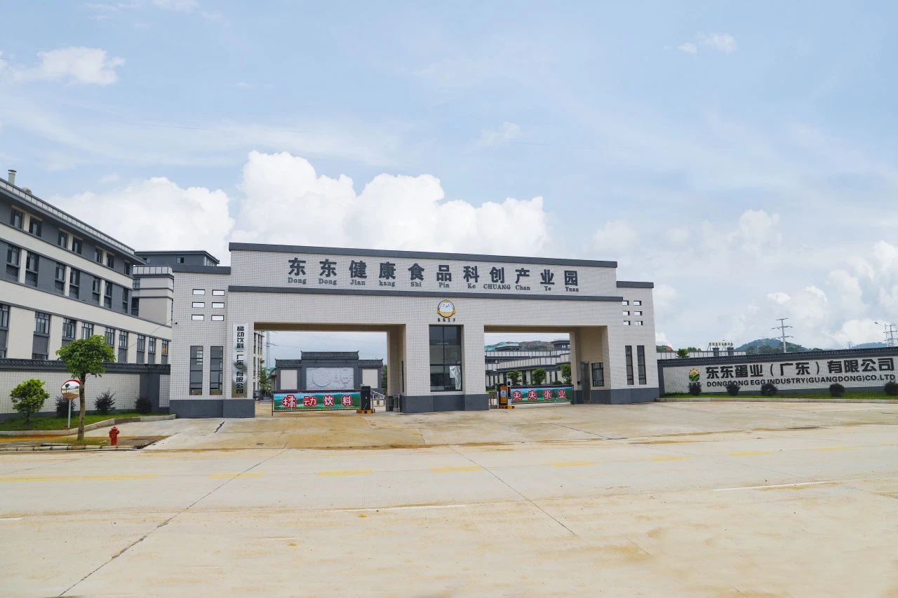 东东健康食品